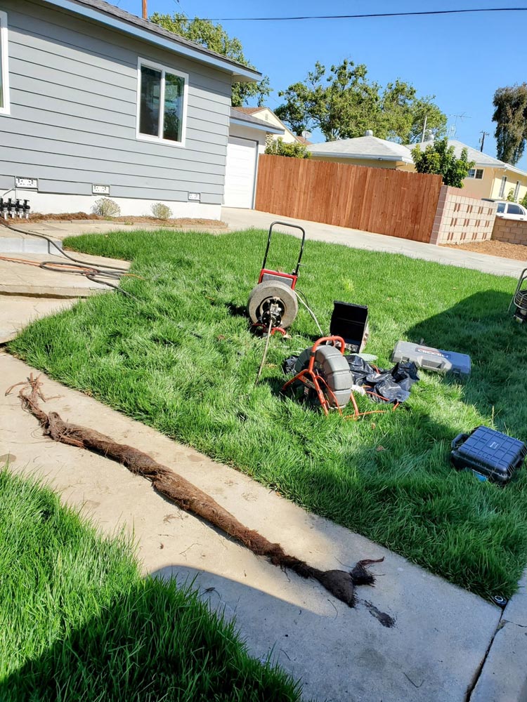 more roots from drain cleaning